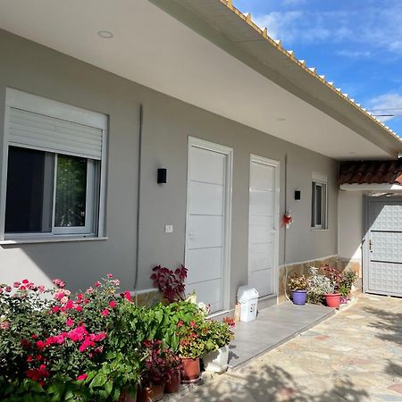 Guest House Luli Strumi Berat Zewnętrze zdjęcie